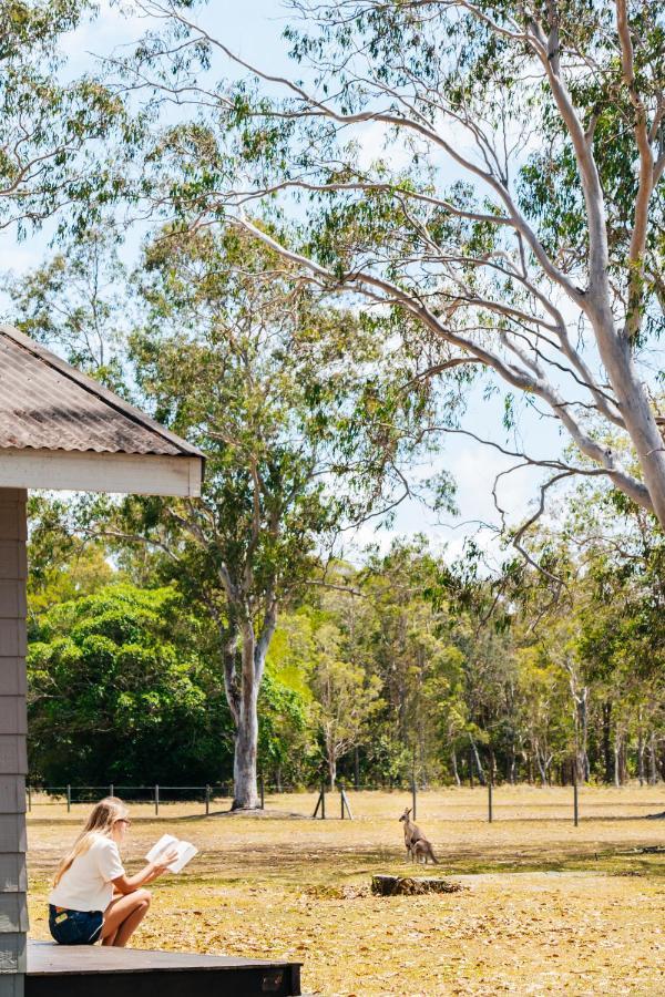 Kangarooms Noosa Everglades Cootharaba Kültér fotó
